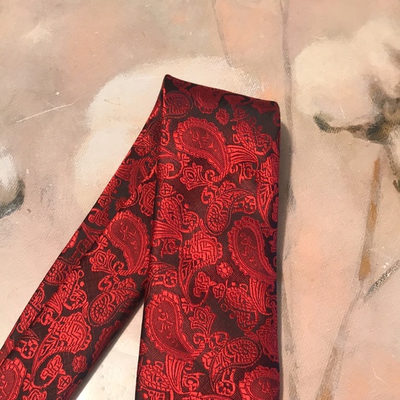 Silk paisley Tie - Picture 10 of 11